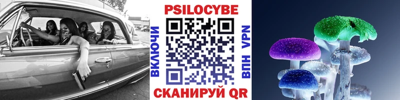 Купить закладки  Вичуга  Псилоцибиновые грибы GOLDEN TEACHER 