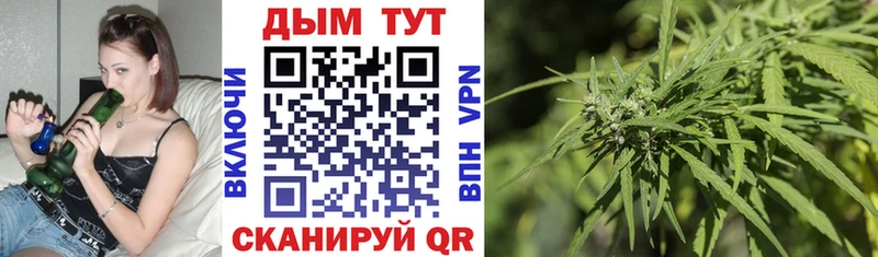 Каннабис планчик  Купить где  Вичуга 